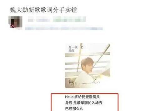 娱乐圈最新爆料魏大勋,娱乐圈新恋情引发热议