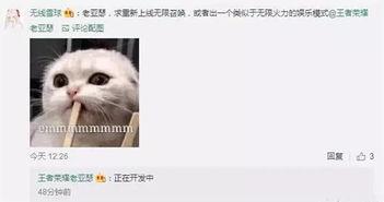 策划八哥爆料视频大全,视频大全背后的精彩故事 第3张 策划八哥爆料视频大全,视频大全背后的精彩故事 第3张